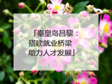 秦皇岛昌黎：搭建就业桥梁 助力人才发展