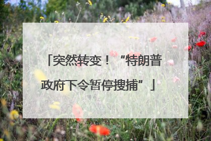 突然转变！“特朗普政府下令暂停搜捕”