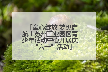 童心绽放 梦想启航！苏州工业园区青少年活动中心开展庆“六一”活动
