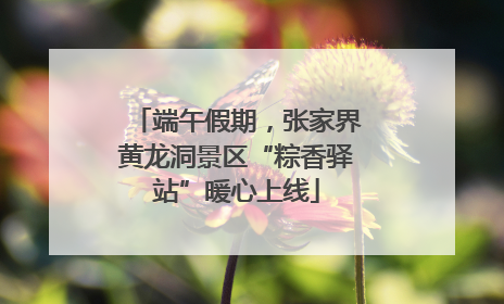 端午假期，张家界黄龙洞景区“粽香驿站”暖心上线
