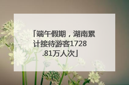 端午假期，湖南累计接待游客1728.81万人次