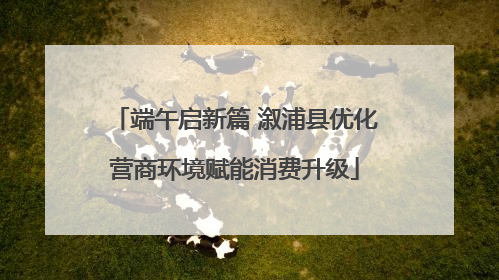 端午启新篇 溆浦县优化营商环境赋能消费升级