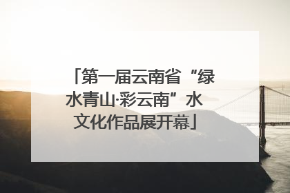 第一届云南省“绿水青山·彩云南”水文化作品展开幕