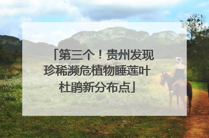 第三个！贵州发现珍稀濒危植物睡莲叶杜鹃新分布点