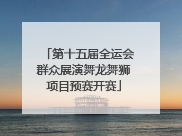 第十五届全运会群众展演舞龙舞狮项目预赛开赛