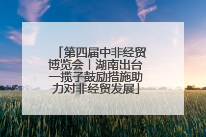 第四届中非经贸博览会丨湖南出台一揽子鼓励措施助力对非经贸发展