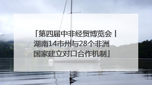 第四届中非经贸博览会丨湖南14市州与28个非洲国家建立对口合作机制