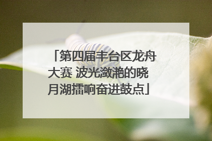 第四届丰台区龙舟大赛 波光潋滟的晓月湖擂响奋进鼓点