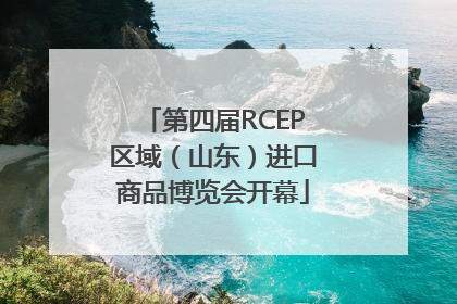 第四届RCEP区域（山东）进口商品博览会开幕