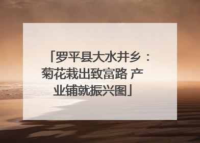 罗平县大水井乡：菊花栽出致富路 产业铺就振兴图
