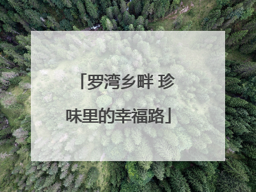 罗湾乡畔 珍味里的幸福路