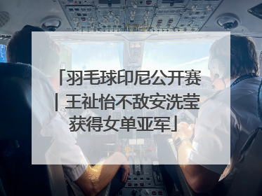 羽毛球印尼公开赛｜王祉怡不敌安洗莹 获得女单亚军
