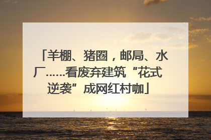 羊棚、猪圈，邮局、水厂……看废弃建筑“花式逆袭”成网红村咖