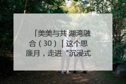 美美与共 湖湾融合（30）｜这个思廉月，走进“沉浸式”清风课堂