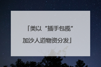 美以“插手包揽”加沙人道物资分发