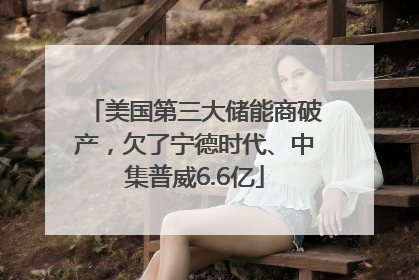 美国第三大储能商破产，欠了宁德时代、中集普威6.6亿