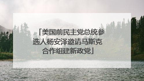 美国前民主党总统参选人杨安泽邀请马斯克合作组建新政党