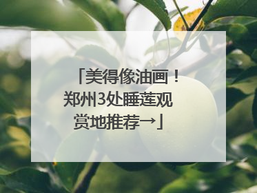 美得像油画！郑州3处睡莲观赏地推荐→