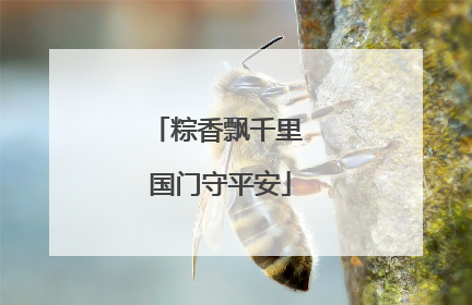 粽香飘千里 国门守平安
