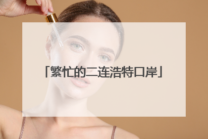 繁忙的二连浩特口岸