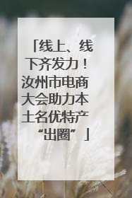 线上、线下齐发力！汝州市电商大会助力本土名优特产“出圈”