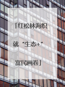 红松林海织就“生态+”富民画卷