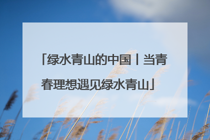 绿水青山的中国丨当青春理想遇见绿水青山