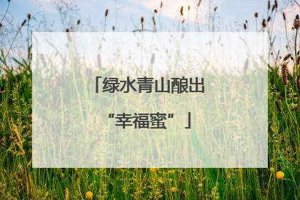 绿水青山酿出“幸福蜜”