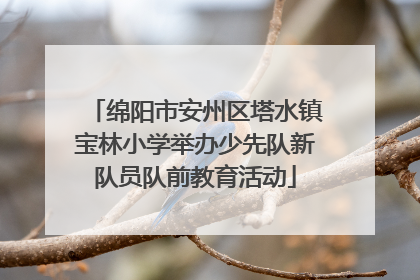 绵阳市安州区塔水镇宝林小学举办少先队新队员队前教育活动