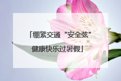 绷紧交通“安全弦” 健康快乐过暑假