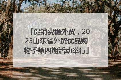 促销费稳外贸，2025山东省外贸优品购物季第四期活动举行