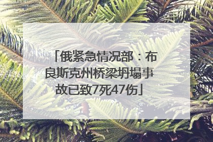 俄紧急情况部：布良斯克州桥梁坍塌事故已致7死47伤