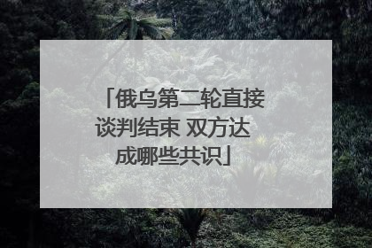 俄乌第二轮直接谈判结束 双方达成哪些共识