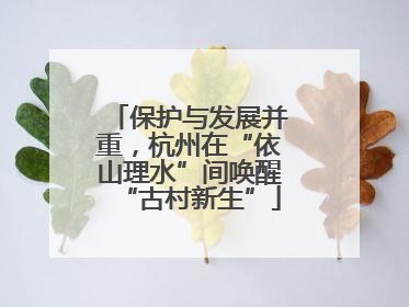 保护与发展并重，杭州在“依山理水”间唤醒“古村新生”