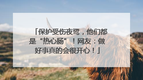保护受伤夜鹭，他们都是“热心肠”！网友：做好事真的会很开心！