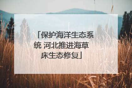 保护海洋生态系统 河北推进海草床生态修复