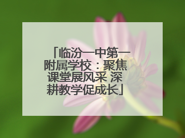 临汾一中第一附属学校：聚焦课堂展风采 深耕教学促成长