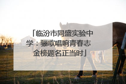 临汾市同盛实验中学：骊歌唱响青春志 金榜题名正当时