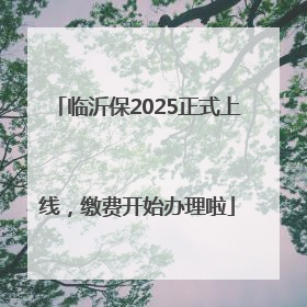 临沂保2025正式上线，缴费开始办理啦