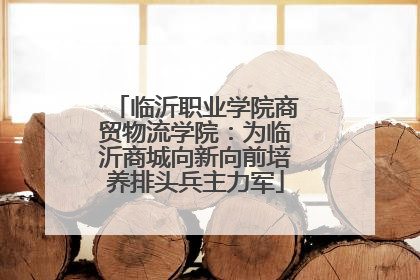 临沂职业学院商贸物流学院：为临沂商城向新向前培养排头兵主力军