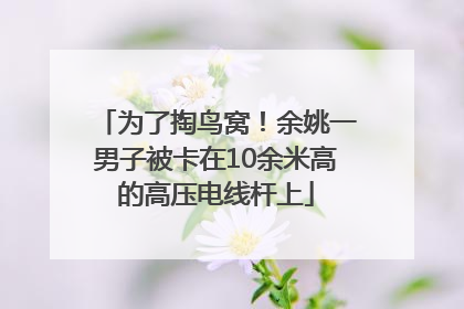 为了掏鸟窝！余姚一男子被卡在10余米高的高压电线杆上
