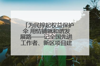 为民撑起权益保护伞 用情铺就和谐发展路——记全国先进工作者、新区项目建设中心干部卢小勇