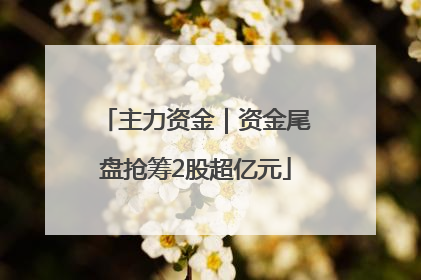 主力资金｜资金尾盘抢筹2股超亿元