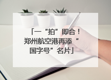 一“拍”即合！郑州航空港再添“国字号”名片