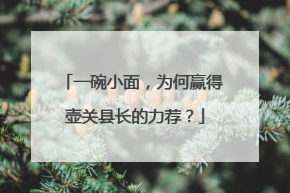 一碗小面，为何赢得壶关县长的力荐？