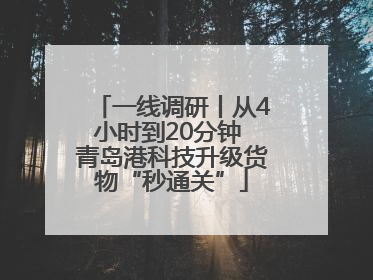 一线调研丨从4小时到20分钟 青岛港科技升级货物“秒通关”