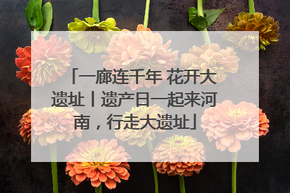 一廊连千年 花开大遗址丨遗产日一起来河南，行走大遗址