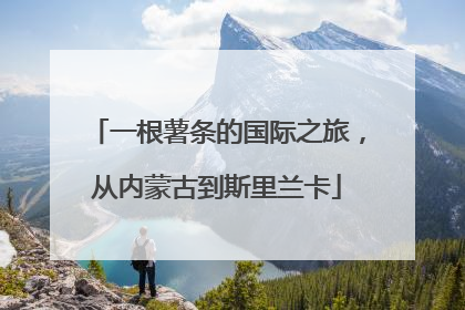 一根薯条的国际之旅，从内蒙古到斯里兰卡