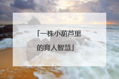 一株小葫芦里的育人智慧
