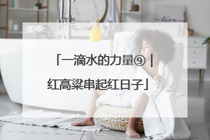 一滴水的力量⑨｜红高粱串起红日子
